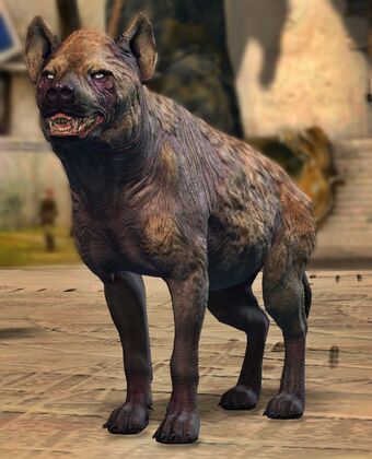 Juvenile Hyena ギルドウォーズ２ 日本語版 Wiki Fandom