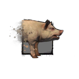 Juvenile Pig ギルドウォーズ２ 日本語版 Wiki Fandom