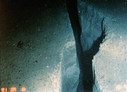 Japan trench