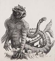 Sketch of the Kraken