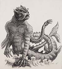 Sketch of the Kraken