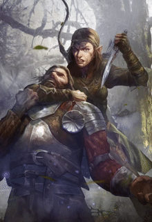 Elven Mercenary