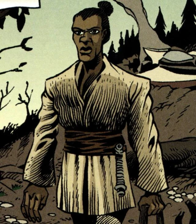 Mace Windu Gwiezdne Wojny Wiki FANDOM powered by Wikia