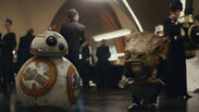 Dobbu Scay BB-8