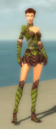 Pictures of ranger fow armour dyed