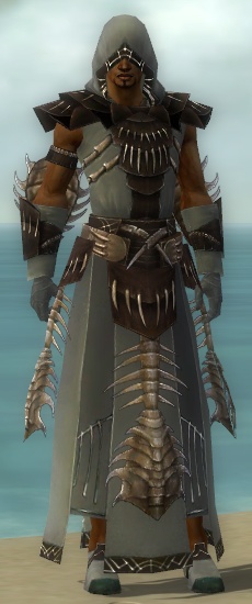 Dervish Primeval Armor Male Guildwars Wikia Fandom