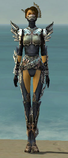 Assassin Asuran Armor Female Guildwars Wiki Fandom