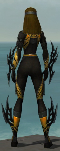 Assassin Vabbian Armor Guildwars Wiki Fandom