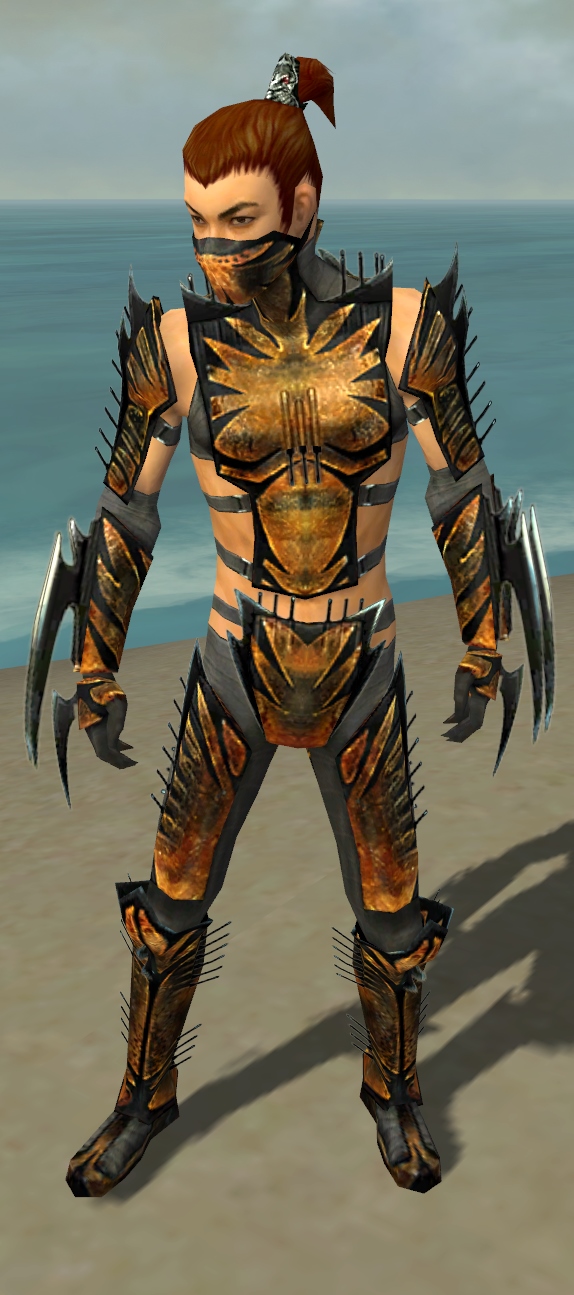Assassin Elite Exotic Armor Guildwars Wiki Fandom