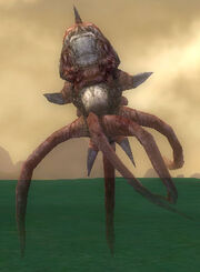 Kraken Spawn