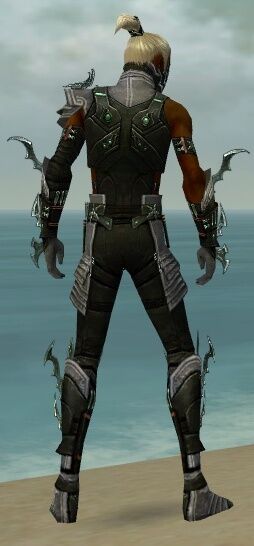 Assassin Elite Luxon Armor Male Guildwars Wiki Fandom