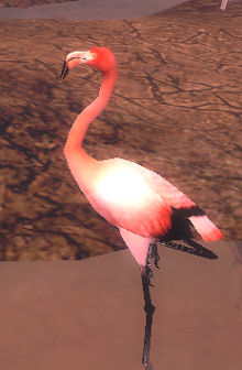 Troublesome Flamingo | GuildWars Wikia | FANDOM powered by Wikia