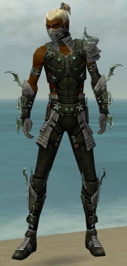 Assassin Elite Luxon Armor Guildwars Wiki Fandom