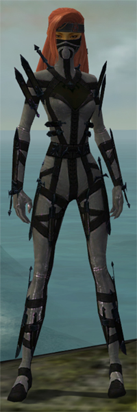 Assassin Obsidian Armor Guildwars Wiki Fandom