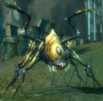 TerrorwebDryder