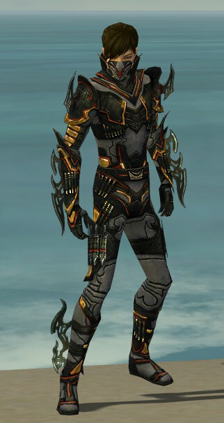 Assassin Elite Kurzick Armor Male Guildwars Wiki Fandom