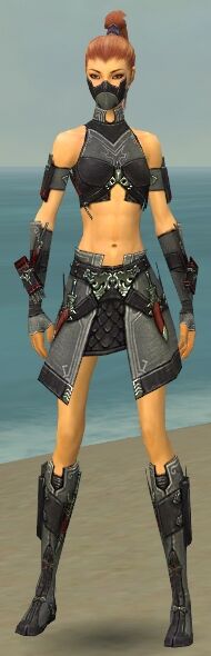Assassin Elite Canthan Armor Guildwars Wiki Fandom