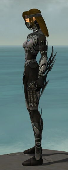 Assassin Vabbian Armor Guildwars Wiki Fandom