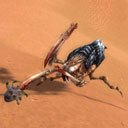 Jade-scarab