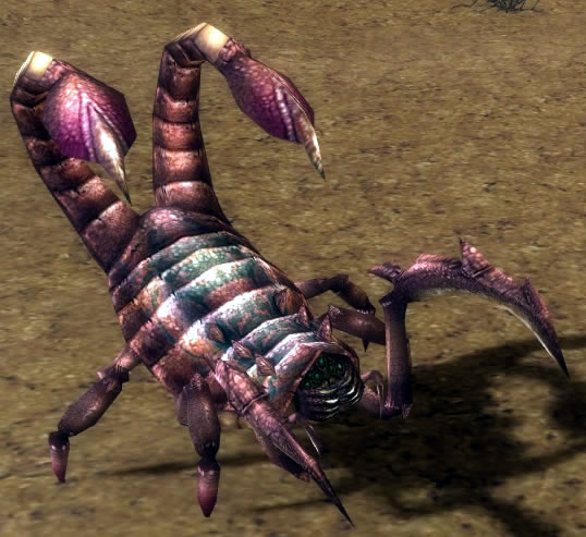 carrion devourer guildwars wikia
