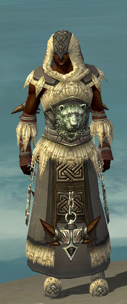 Dervish Norn Armor Male Guildwars Wikia Fandom Powered