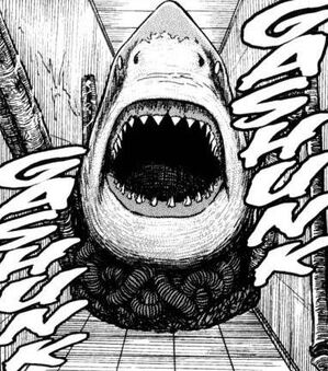 Sharkstecn