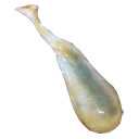 Icon Deer Bladder