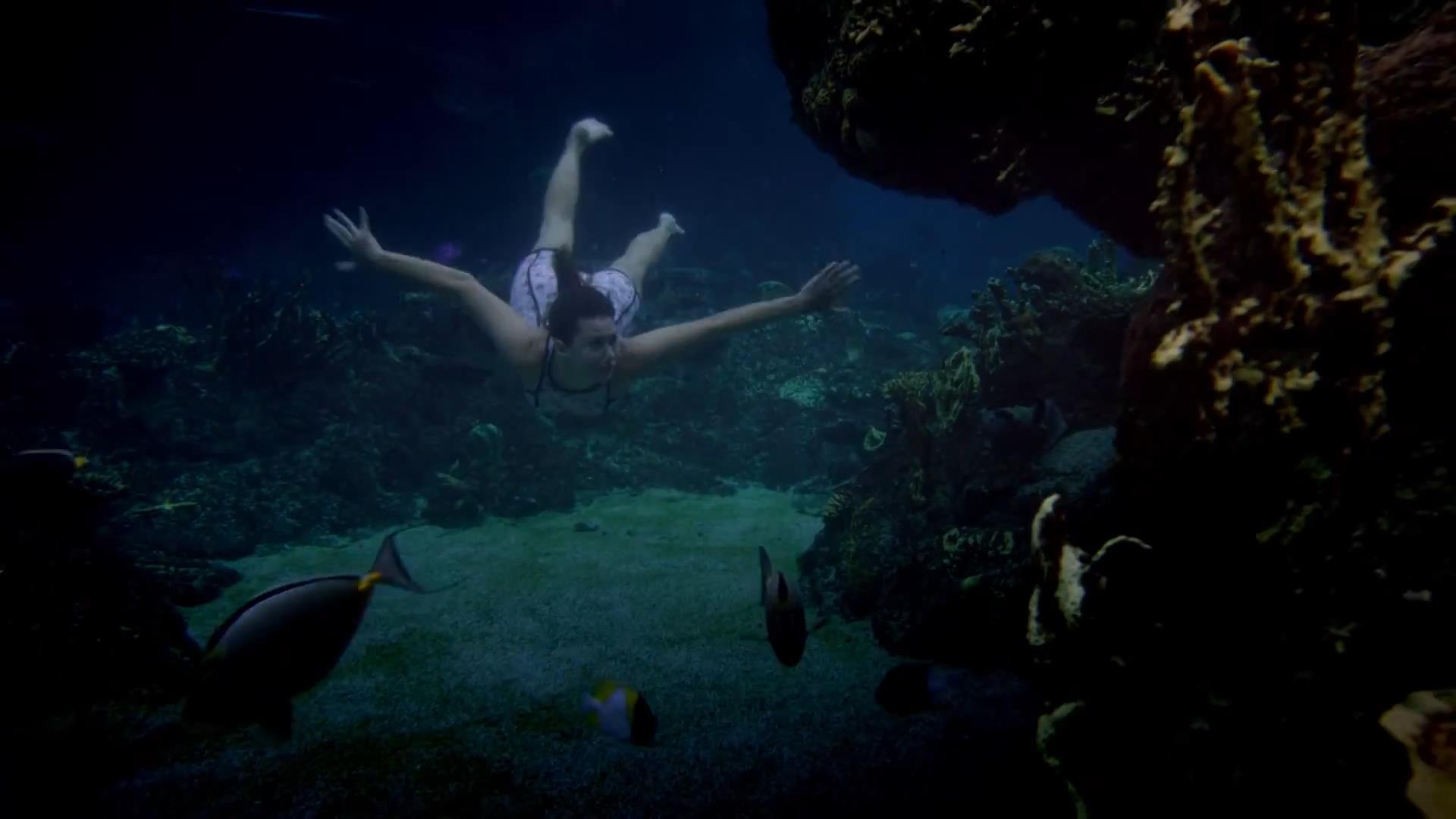 Swimming Mako Mermaids Evie