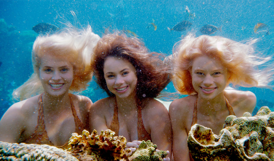 Image Mako Mermaids Underwater Image Mako Mermaids Underwater