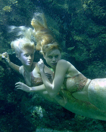 Mako Island Of Secrets Season 1 Episode 12 Close Call H2o