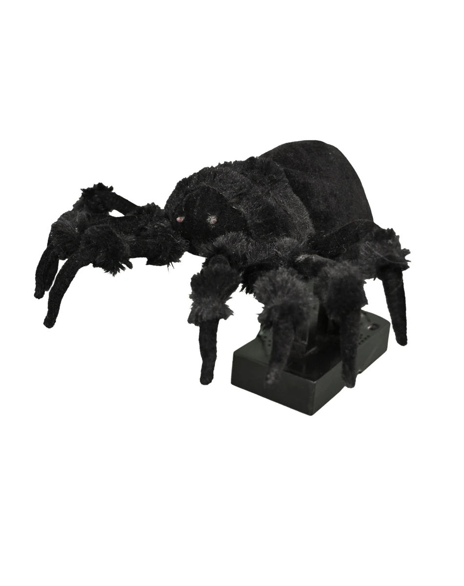 Tabletop Jumping Spider Decoration Halloween Wiki FANDOM powered by