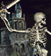 Skeleton (H3) Icon