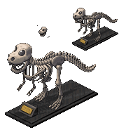 Rare trex (1)