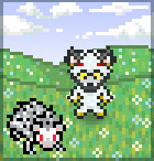 Branderwall Wolf in Sheep