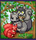 Getting Squirrelly