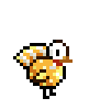 Pet-Turkey-Gilded