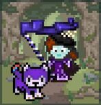 CC Page Banner