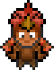 Turkey costume