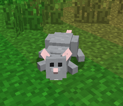 GiantRat