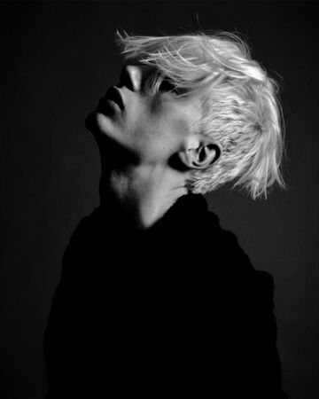 Draco Malfoy Hadrian Potter Revenge Wiki Fandom
