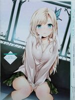 Buriki Visual Book