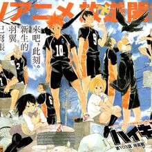 Category Color Pages Haikyuu Wiki Fandom