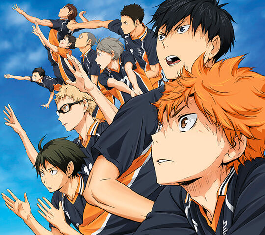 Игра haikyuu fly