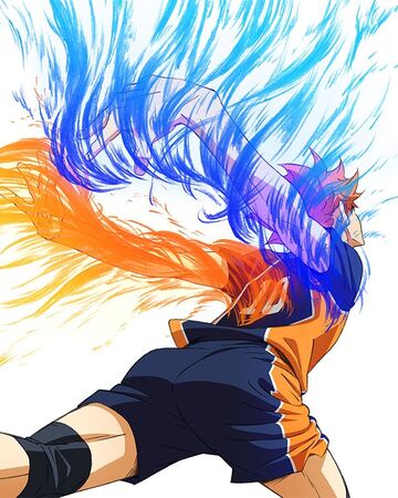 Phoenix Haikyuu Wiki Fandom