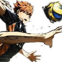 Hikariare Haikyuu Wiki Fandom