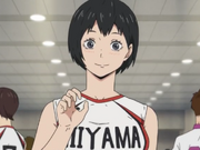Wallpaper Category Female Characters Haikyuu Wiki Fandom For iPhone Free