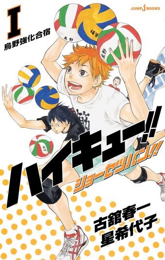 Haikyu Shōsetsuban Haikyuu Wiki Fandom