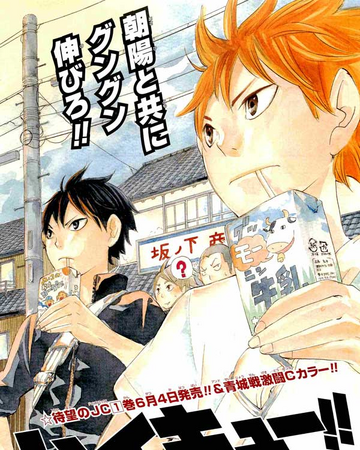An Interesting Team Haikyuu Wiki Fandom