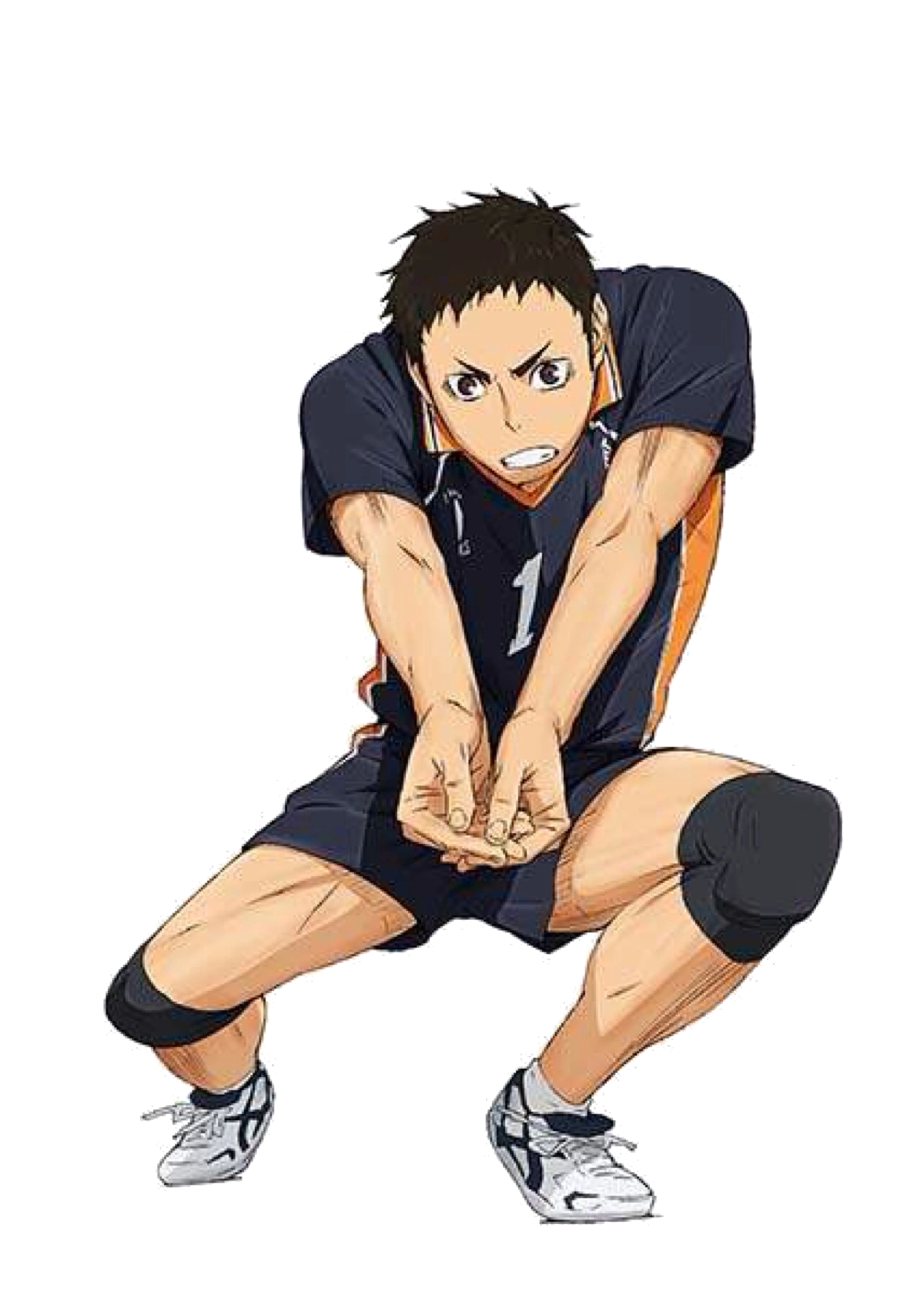 Posiciones Wiki Haikyuu!! Fandom