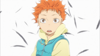 Shōyō Hinata Haikyuu Wiki Fandom